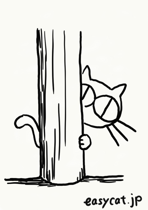 easy cat イージーキャット koshu illustrator